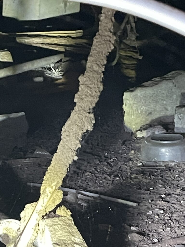 Termite mud tube extending downward from wood beneath a home
