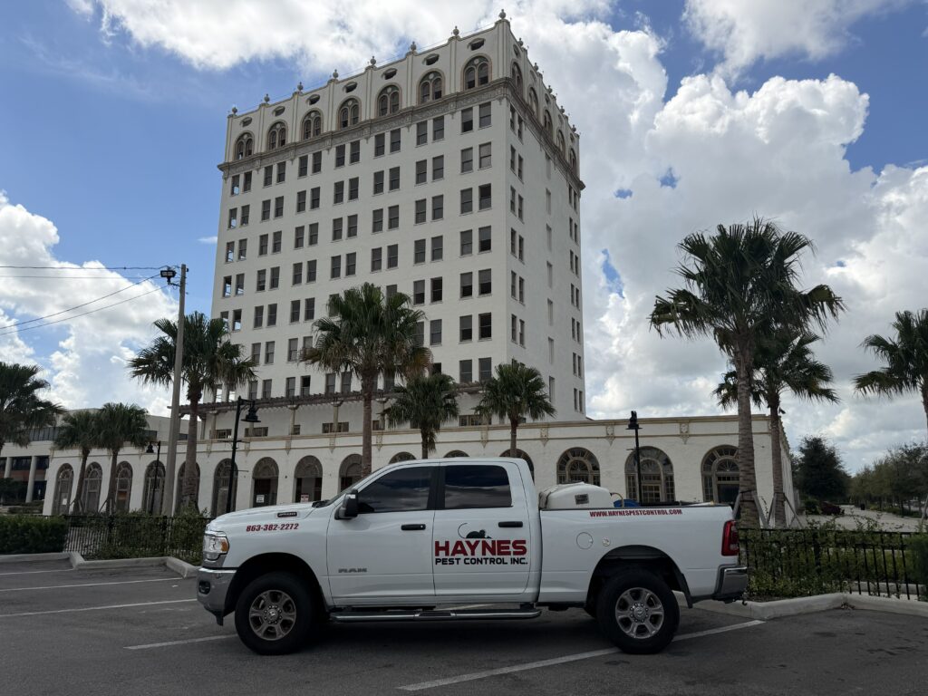 Haynes Pest Control truck parked in front of a building in Lake Wales